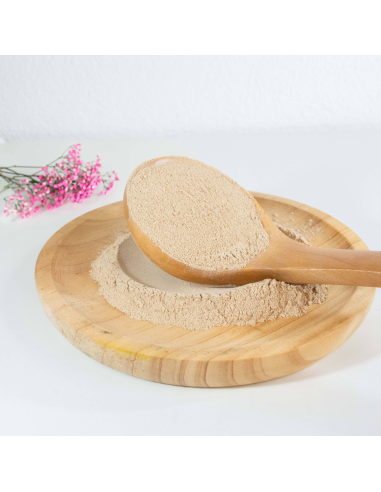 Maca Gelatinizada en Polvo Eco 200g | Tata Alimentos Natural