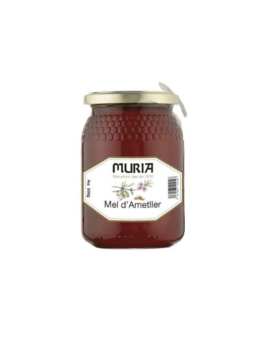Miel de Almendro Muria 1 Kg | Dulzura Natural y Pura