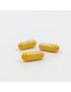 Acnavance 60Cap. de Inovance 2