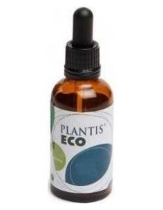 Ext.Brusco (Ruscus) 50Ml Maese Herbario de Artesania 2